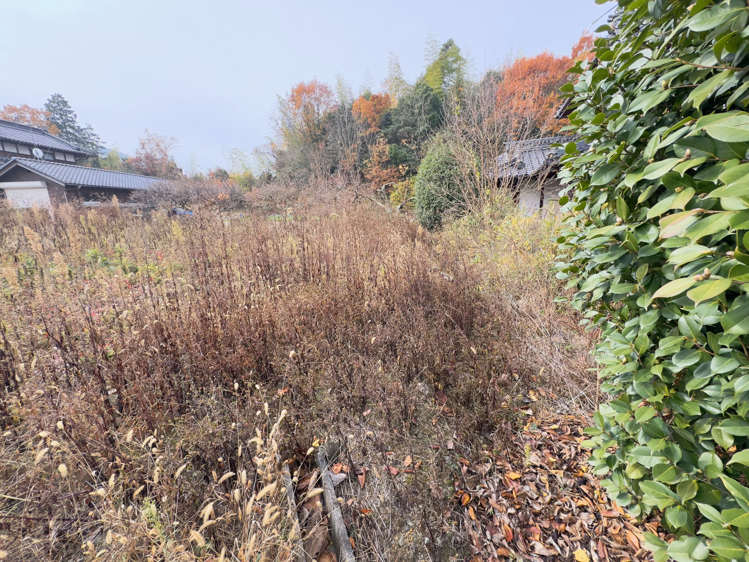 土地　呉市 苗代町